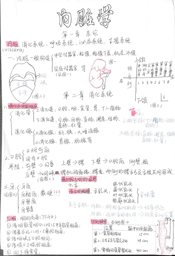 图片 6